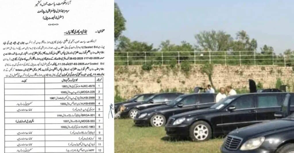 Kashmir govt to auction