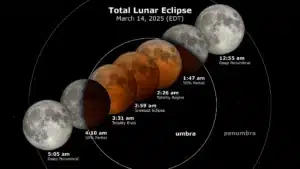 Total Lunar Eclipse 2025