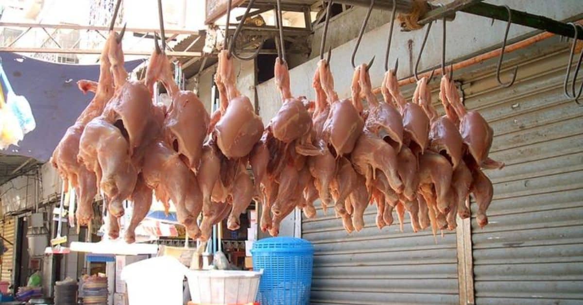 Govt announces special subsidy on Chicken and egg prices for Ramazan 2026