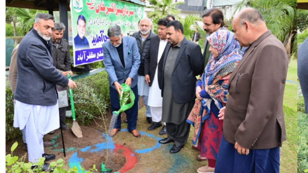 spring plantation campaign