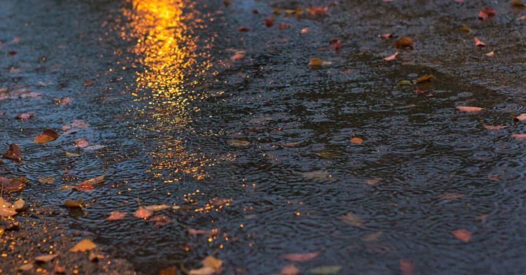 Muzaffarabad Weather
