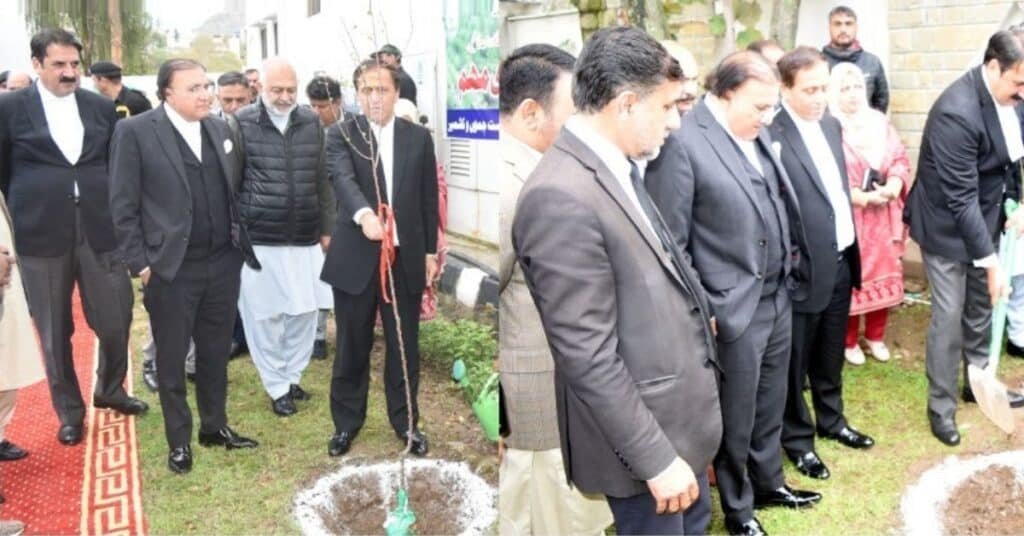 tree plantation drive