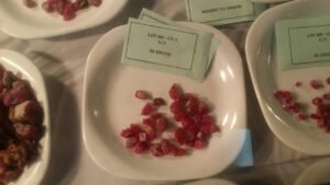 Rubies of Neelum