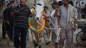 Preparations underway for Eid ul Adha 2025 in Pakistan