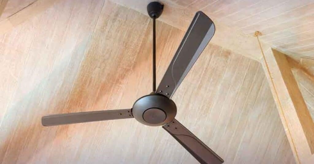 fan