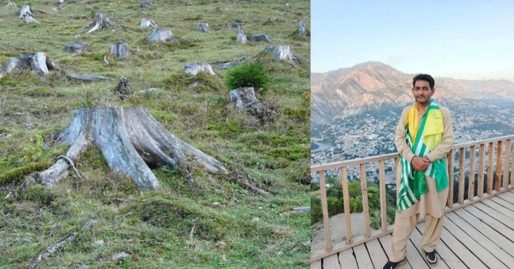 Deforestation in Neelum Valley sparks warning from PML-N leader