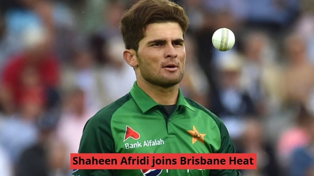 Shaheen Afridi
