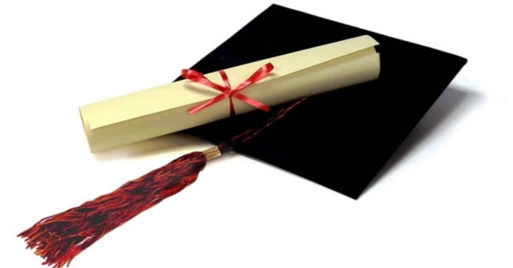 universities