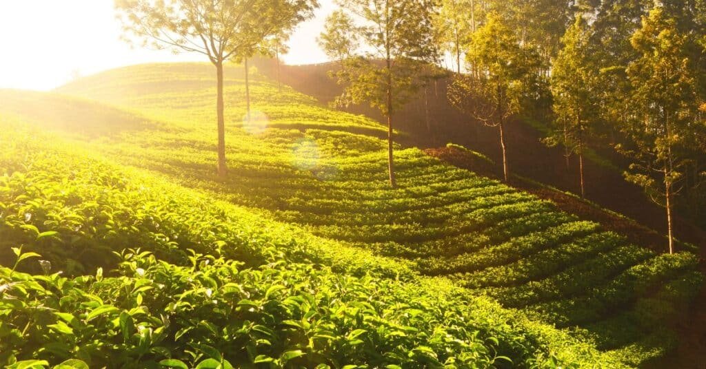 Azad Kashmir Weather Update: Warm conditions expected as temperature rises