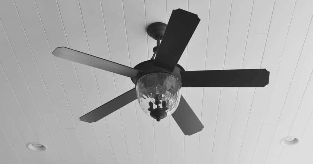 Prime Minister’s Fan Replacement Program