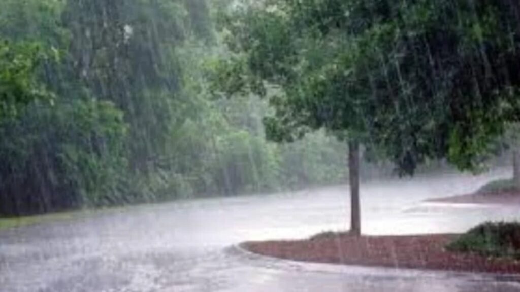 Rain