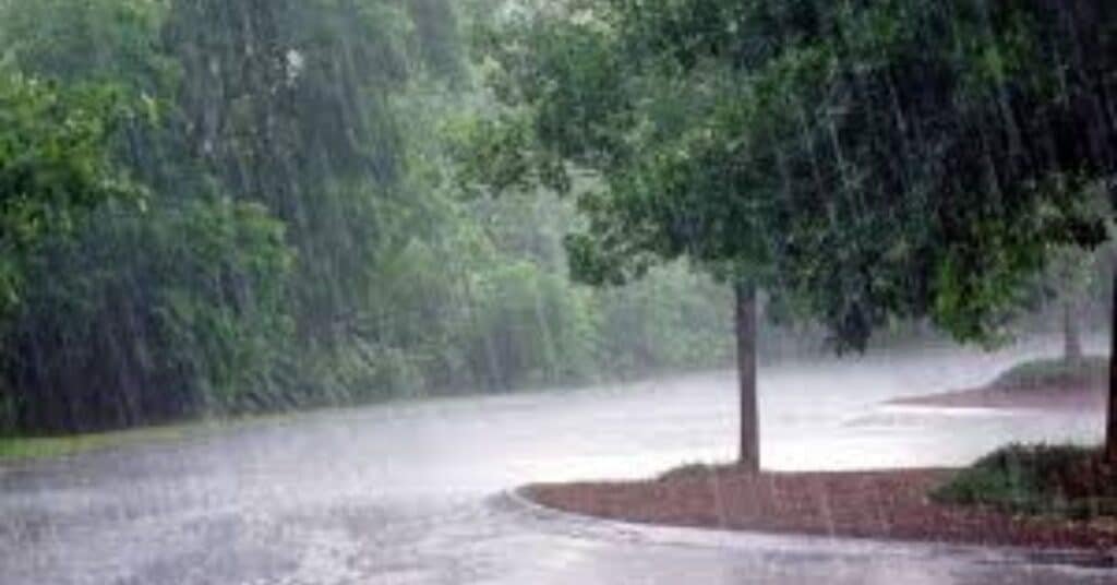 monsoon