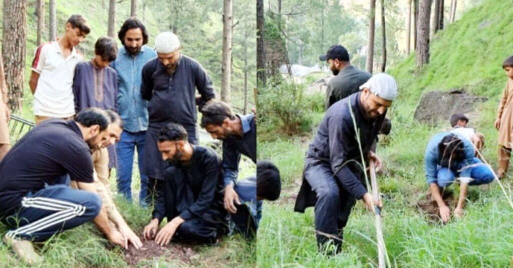 tree plantation campaign