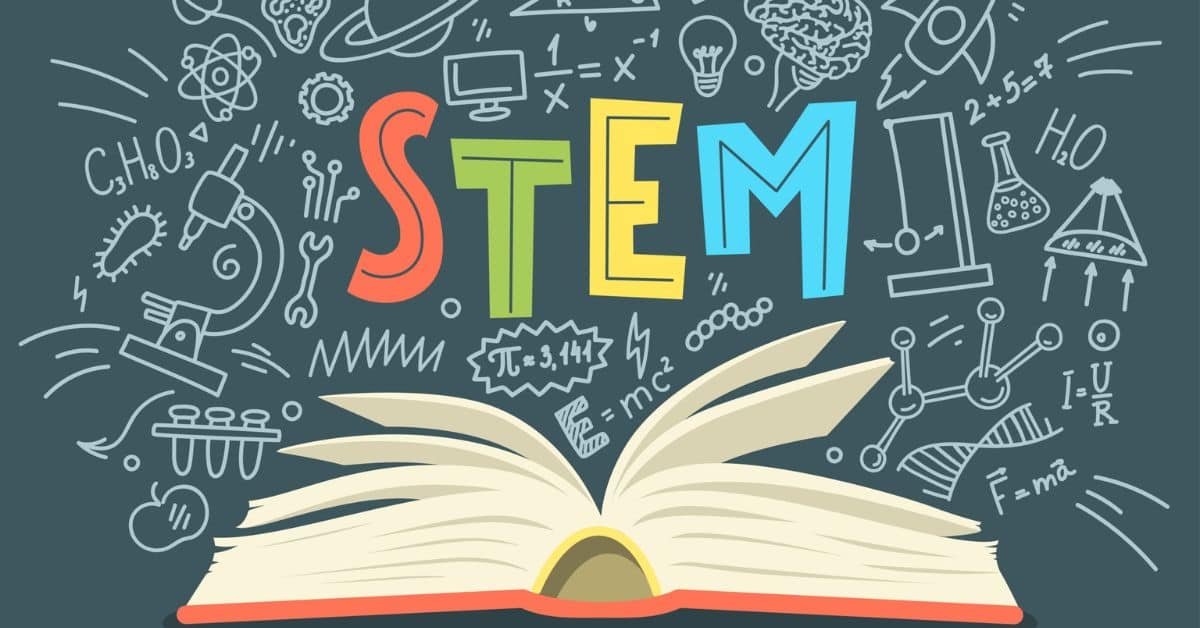 stem