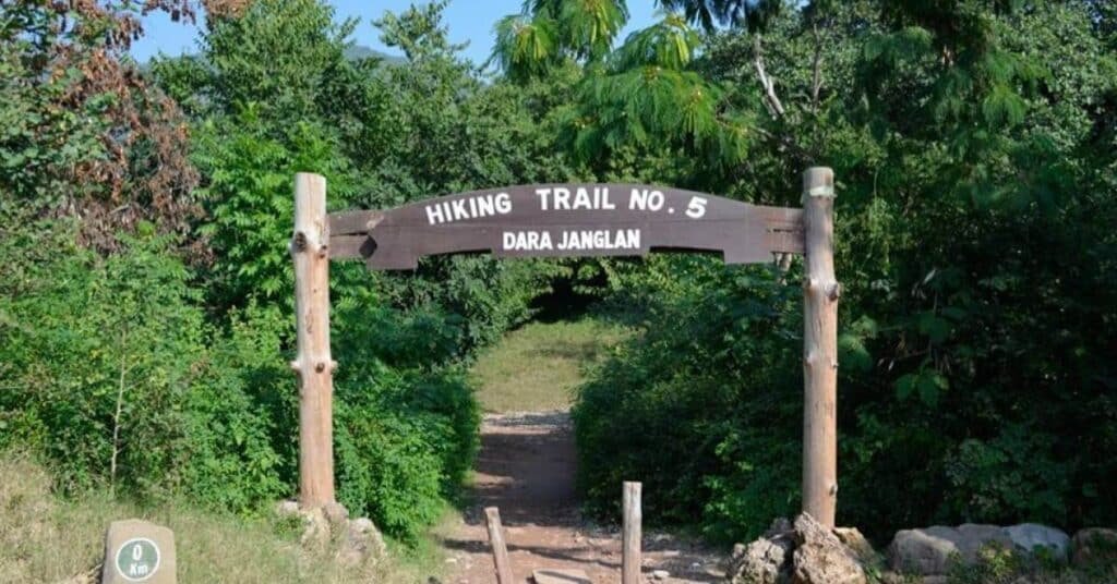 trails