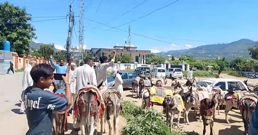 Kotli