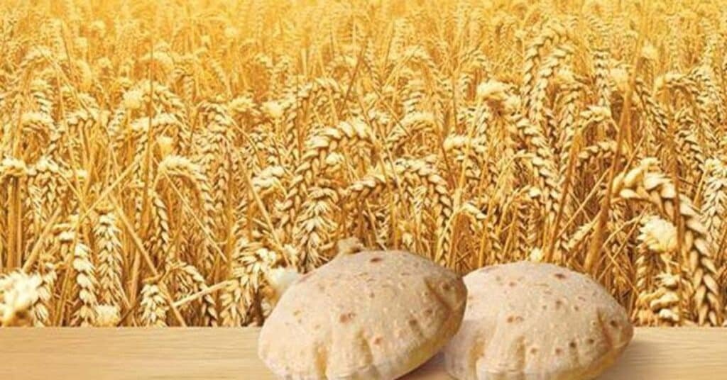 Wheat shortage