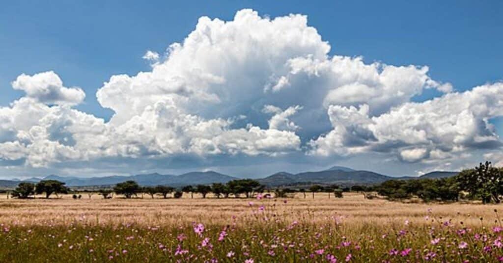 cloud