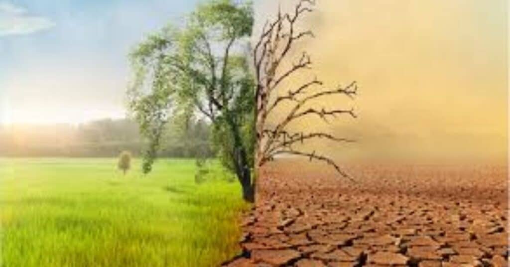 climate