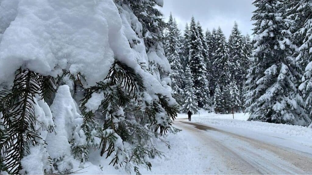 Will Pakistan witness harsh weather this winter season?