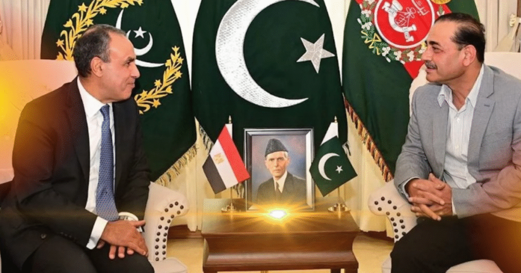 Field Marshal Asim Munir, Egypt's FM discuss defence, security cooperation