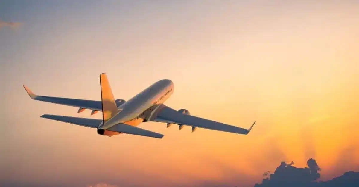 Lufthansa slashes 20,000 flights amid soaring fuel costs