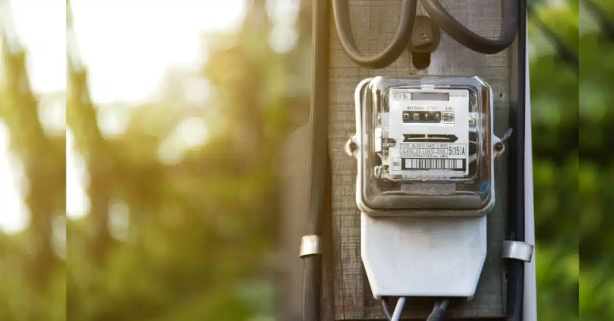 electricity consumer