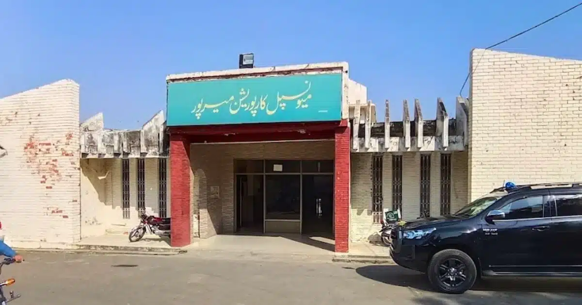 local government institutions