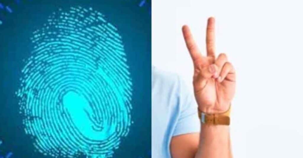 fingerprint