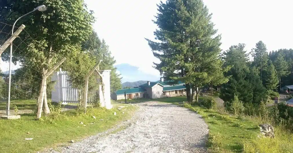 Thandiani