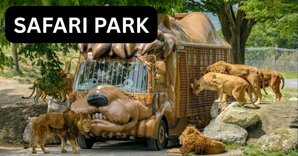Pakistan to get first-ever world-class wildlife Safari Park, location announced