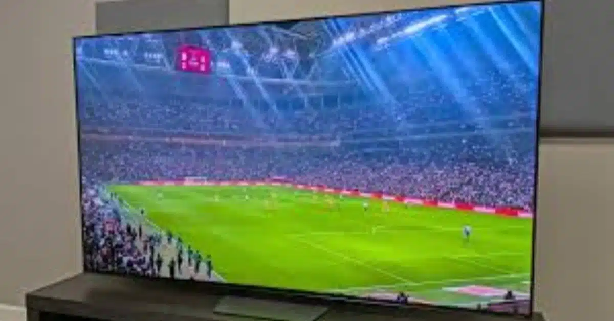 world cup