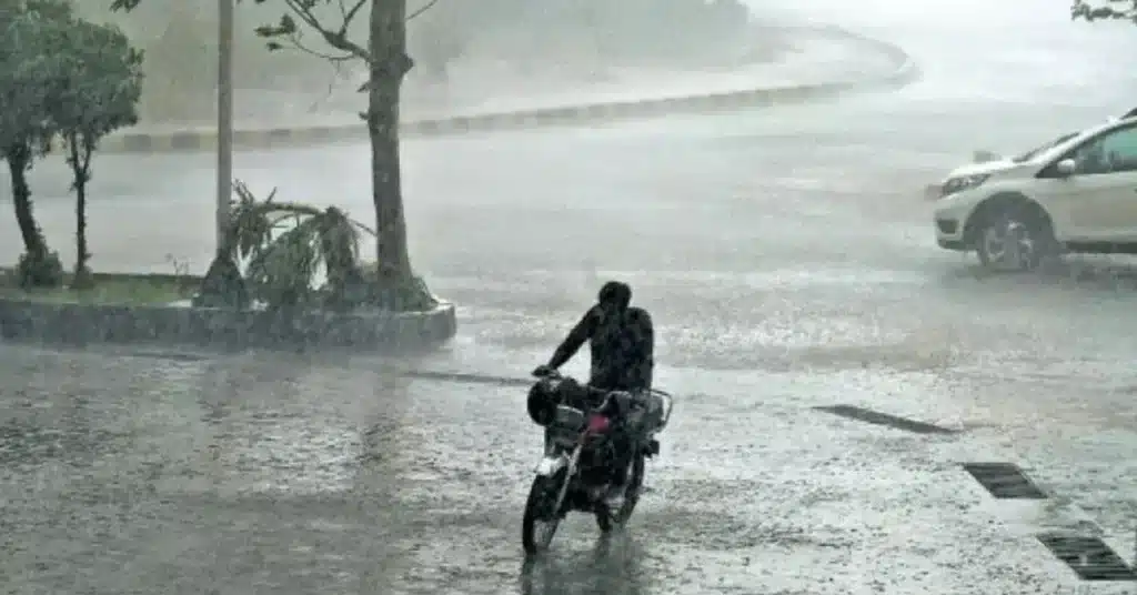 rain