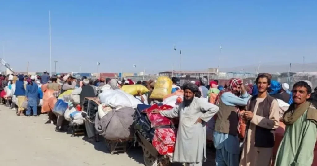 1,686 illegal Afghan nationals detained in Balochistan crackdown