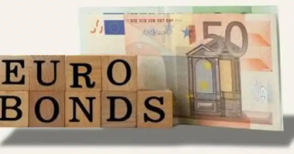 Finance ministry rejects speculation regarding Euro,Panda Bonds