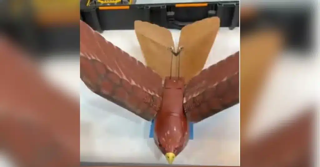 Pakistan unveils bird-shaped spy drone BIAV at Indus-Ras Expo