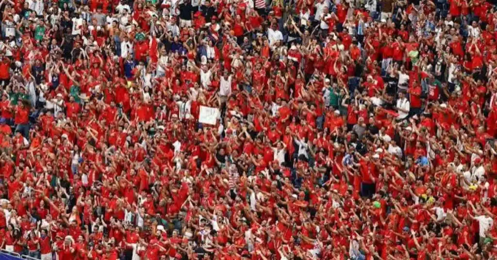 fifa world cup