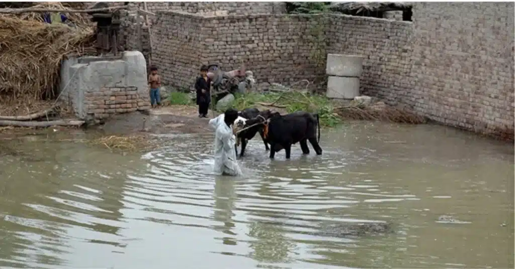 rain khyber-pakhtunkhwa