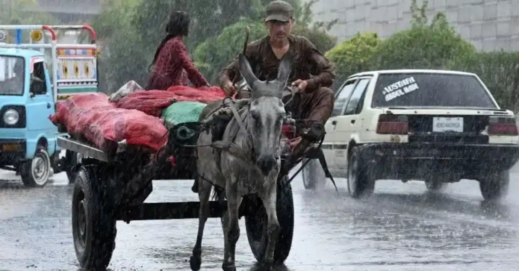 monsoon