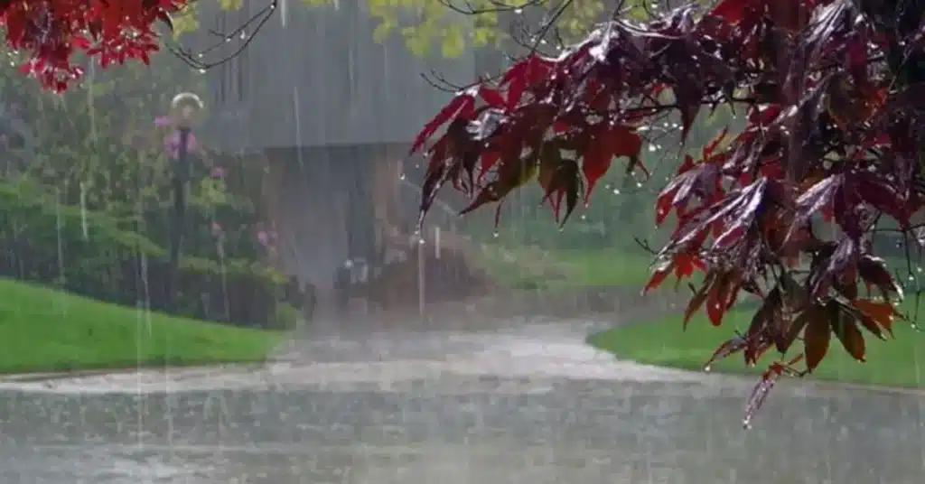 rain weather