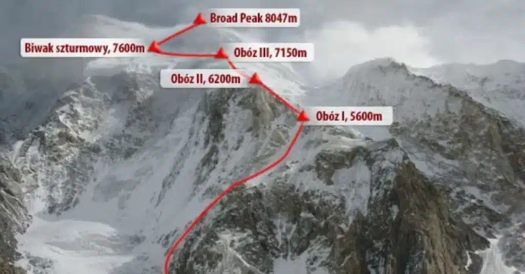 Search operation Broad Peak