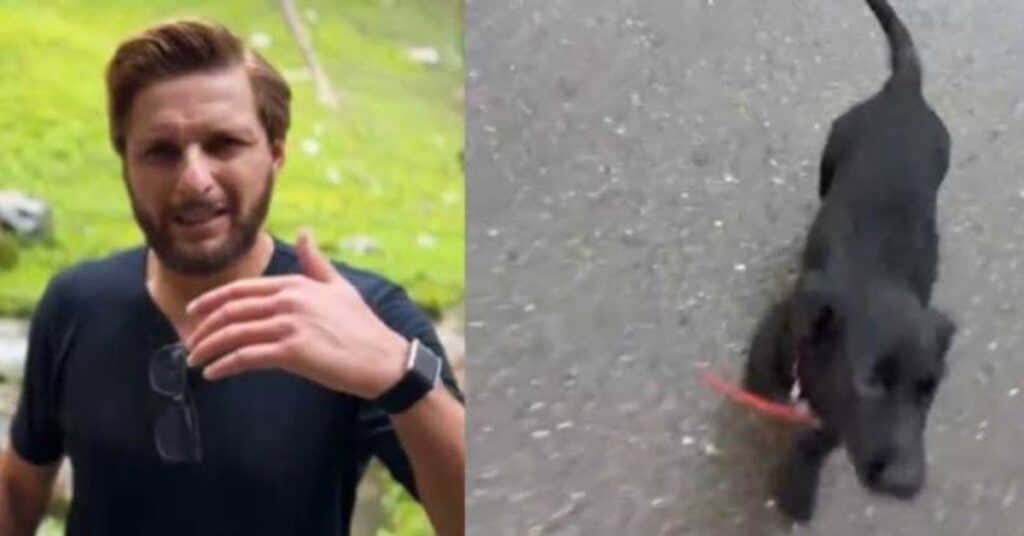Shahid Afridi appeals to public for help finding missing pet dog in Islamabad