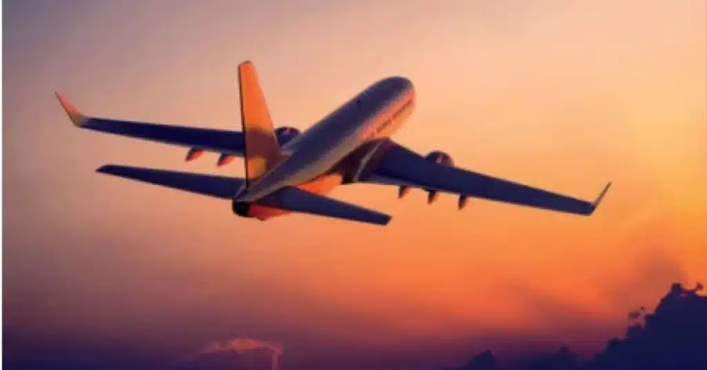 flight