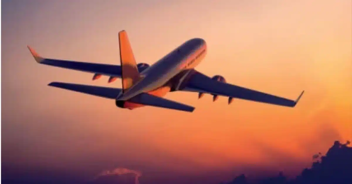 flight